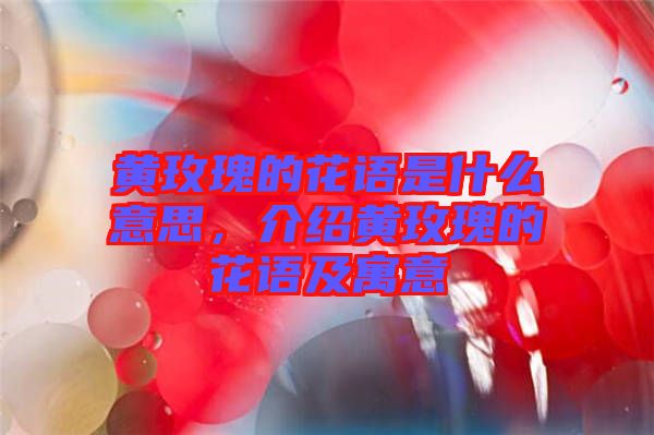 黃玫瑰的花語是什么意思，介紹黃玫瑰的花語及寓意