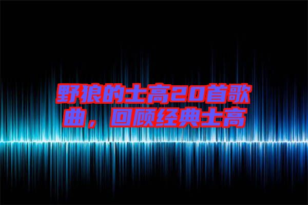 野狼的士高20首歌曲，回顧經(jīng)典士高