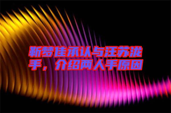 靳夢佳承認(rèn)與汪蘇瀧手，介紹兩人手原因