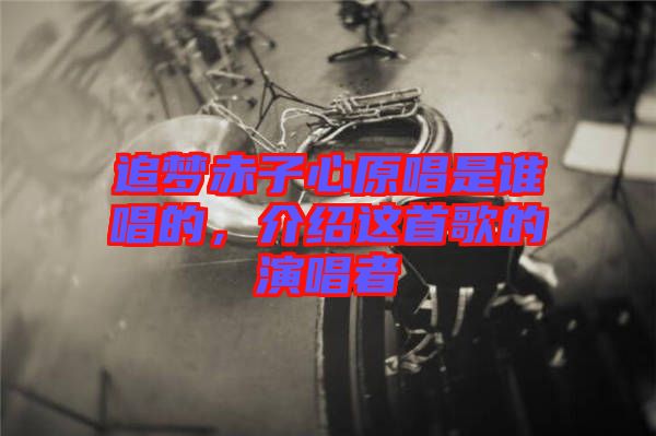 追夢(mèng)赤子心原唱是誰(shuí)唱的，介紹這首歌的演唱者
