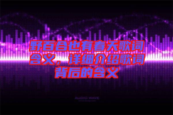 野百合也有春天歌詞含義，詳細介紹歌詞背后的含義